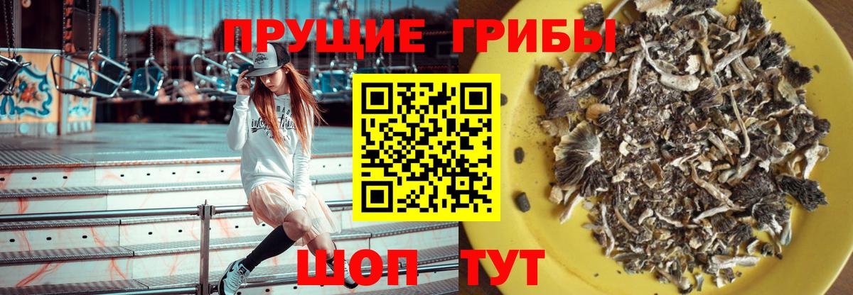 Галлюциногенные грибы мицелий  Вход с VPN  где можно купить   Томск  Галлюциногенные грибы Magic Shrooms 