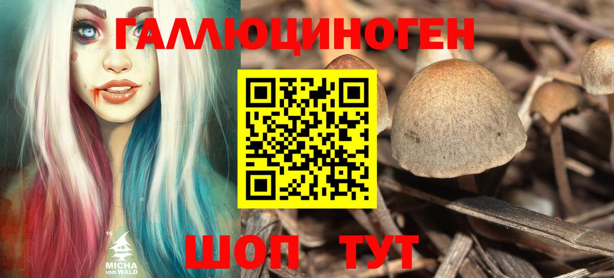 Галлюциногенные грибы мухоморы Томск